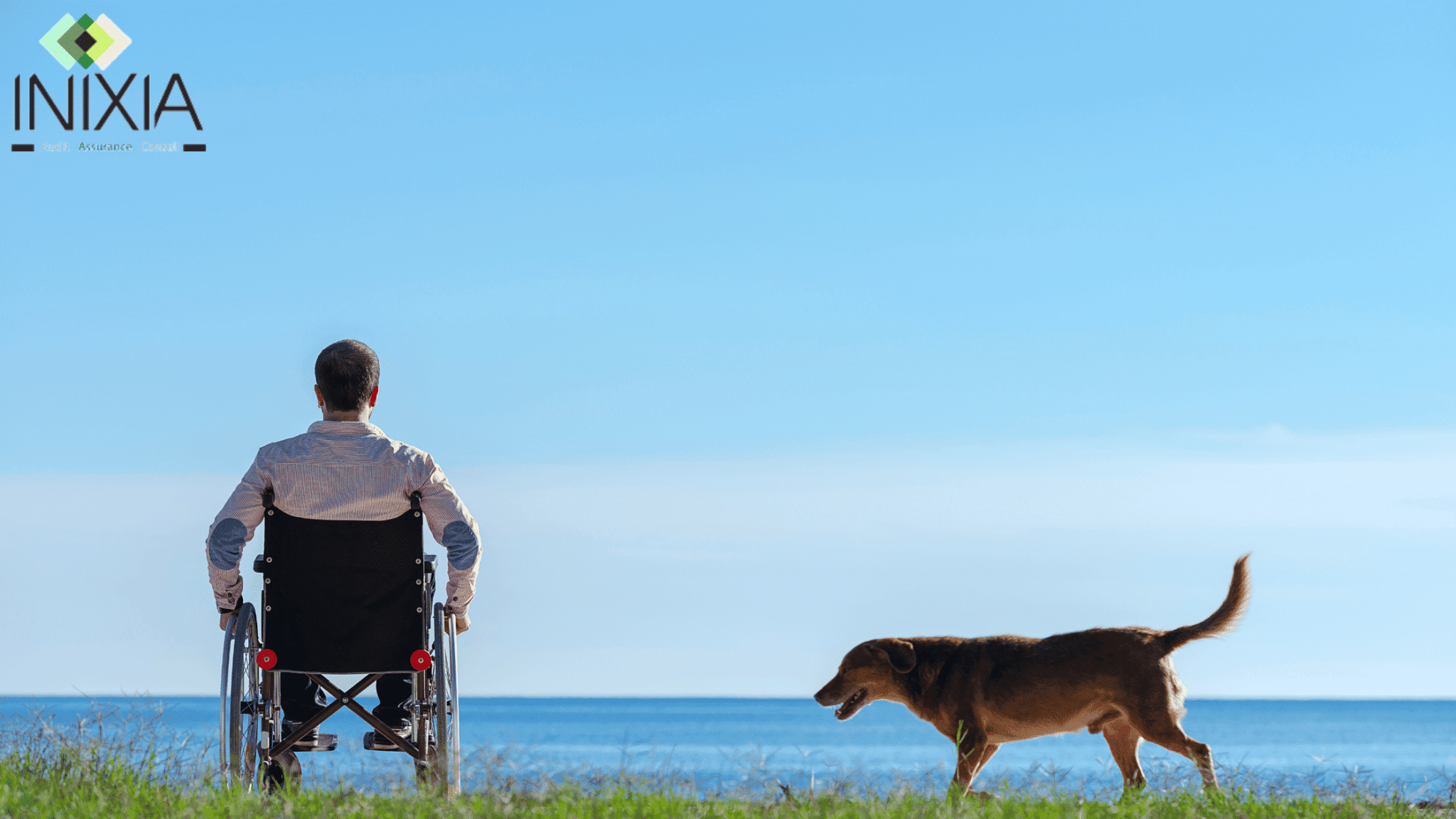Assurance IPP - Un homme en fauteuil roulant avec son chien regarde la mer.