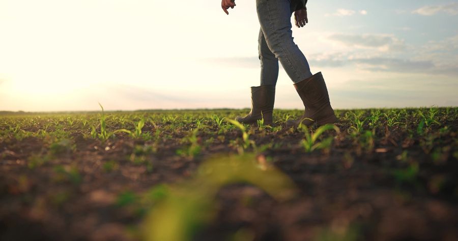 un agriculteur qui marche