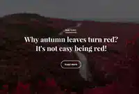 MRP